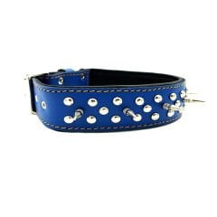 Blue Spiked ''Danger'' Leather Dog Collar