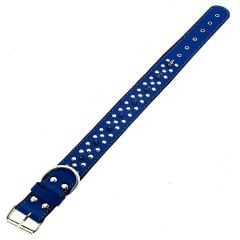 Blue Spiked ''Danger'' Leather Dog Collar