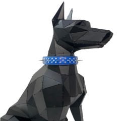 Blue Spiked ''Danger'' Leather Dog Collar