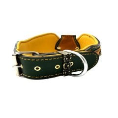 Dark Green-Mustard Pitbull Leather Dog Collar