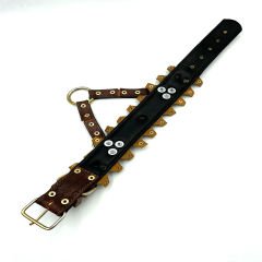 Brown ''Ancient'' Lion Ring Leather Dog Collar