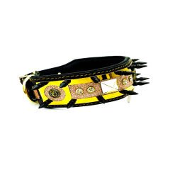 Brown ''Aphrodite'' Spiked Silvery Dog Collar