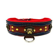 Navy Blue-Brown ''American Bully'' Leather Dog Collar