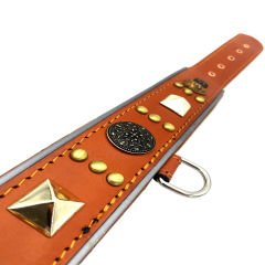 Brown ''Diana'' Reflected Leather Dog Collar