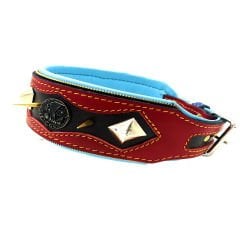 Exclusive ''Zeus'' Leather Dog Collar