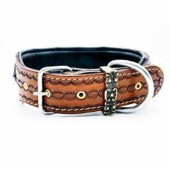 American Bully ''Destroyer'' Dog Collar