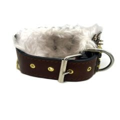 Brown ''Nemean'' Lion Leather Dog Collar