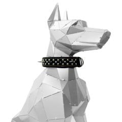 Black Spiked ''Danger'' Leather Dog Collar