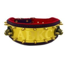 Yellow-Red ''ABKC'' Leather Dog Collar