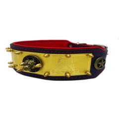 Yellow-Red ''ABKC'' Leather Dog Collar