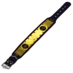 Yellow-Red ''ABKC'' Leather Dog Collar