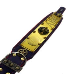 Yellow-Red ''ABKC'' Leather Dog Collar