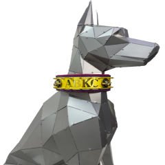 Yellow-Red ''ABKC'' Leather Dog Collar