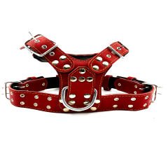 Red ''Prometheus'' Leather Dog Harness