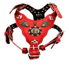 Red ''Prometheus'' Leather Dog Harness