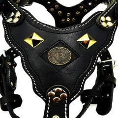 Black ''Bitcoin'' Leather Dog Harness