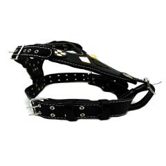 Black ''Bitcoin'' Leather Dog Harness
