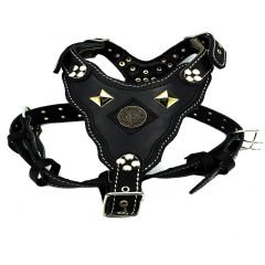 Black ''Bitcoin'' Leather Dog Harness