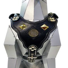 Black ''Bitcoin'' Leather Dog Harness