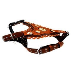 Brown Exclusive ''Aztec'' Leather Dog Harness
