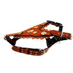 Brown Exclusive ''Aztec'' Leather Dog Harness