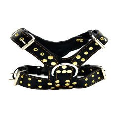 Red-Black ''King Lion'' Dog Harness