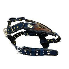 Brown-Navy Blue '' Ancient Rome'' Dog Harness