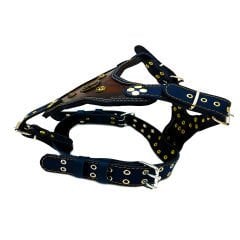 Brown-Navy Blue '' Ancient Rome'' Dog Harness