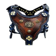 Brown-Navy Blue '' Ancient Rome'' Dog Harness