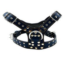 Navy Blue ''Hercules'' Lion Head Leather Dog Harness