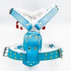 Blue ''Yeti'' Pentagram Dog Harness