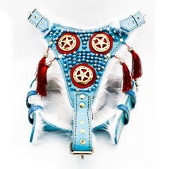 Blue ''Yeti'' Pentagram Dog Harness