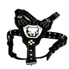 Black ''Gladiator'' Leather Dog Harness