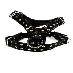 Gladiator top dog harness