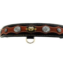 Black-Brown American Bully Head Dog Collar
