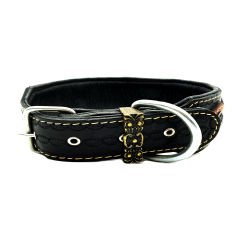 Black-Brown American Bully Head Dog Collar