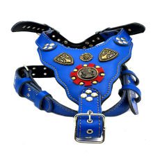 Blue ''Prometheus''  Leather Dog Harness
