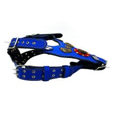 Blue ''Prometheus''  Leather Dog Harness