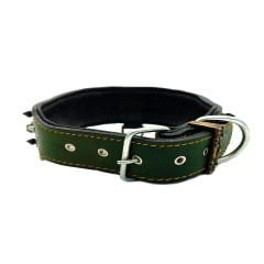 Pitbull And Lion Head Spiked Dog Collar