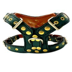 Green American Bully Head Handmade Leather Dog Harness