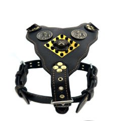 Black-Gold Tones American Bully Head Handmade Leather Dog Harness