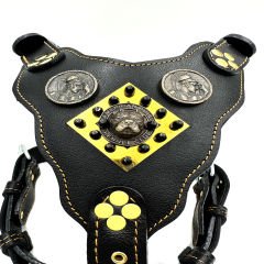 Black-Gold Tones American Bully Head Handmade Leather Dog Harness