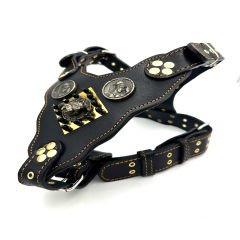 Black-Gold Tones American Bully Head Handmade Leather Dog Harness