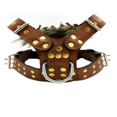 Green Luxury Lion Ring Handmade Fur Leather Dog Harness