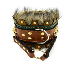 Lion Design Fur Lined Ancient Dog Collar Set