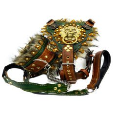 Lion Design Fur Lined Ancient Dog Collar Set