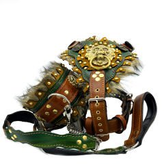 Lion Design Fur Lined Ancient Dog Collar Set