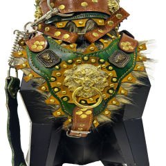 Lion Design Fur Lined Ancient Dog Collar Set