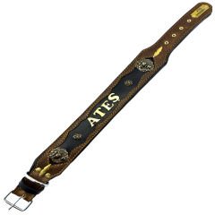 Personalized Dog Collar With Name & Number