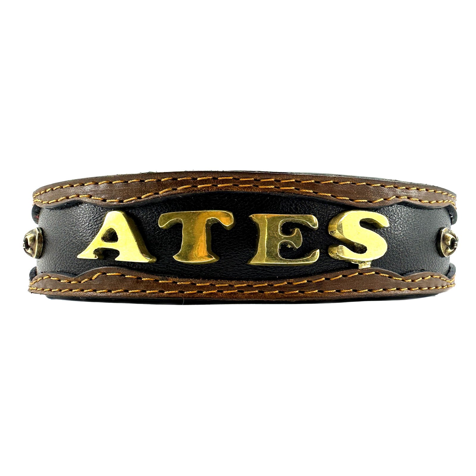 Personalized Dog Collar With Name & Number